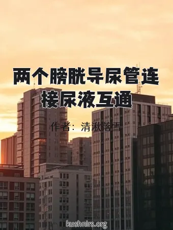 两个膀胱导尿管连接尿液互通
