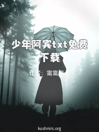 少年阿宾txt免费下载