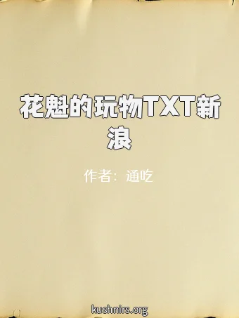 花魁的玩物TXT新浪