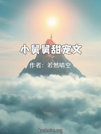 小舅舅甜宠文