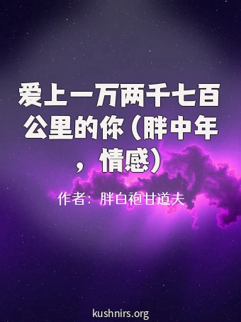 爱上一万两千七百公里的你 (胖中年，情感）