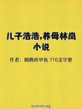 儿子浩浩,养母林岚小说