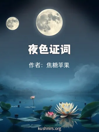 夜色证词