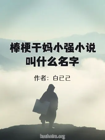 棒梗干妈小强小说叫什么名字