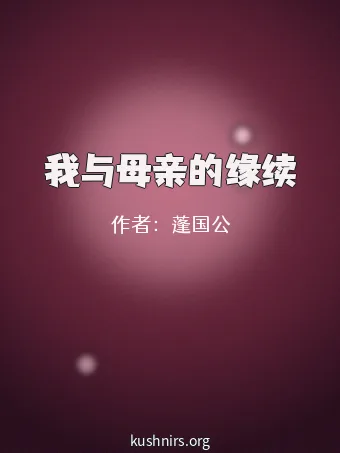 我与母亲的缘续