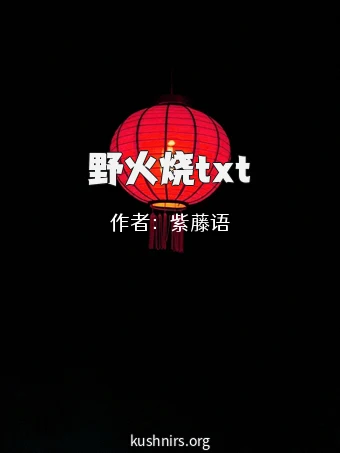 野火烧txt
