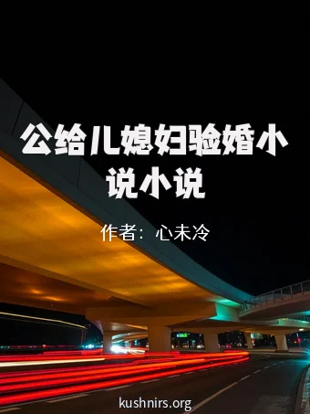 公给儿媳妇验婚小说小说