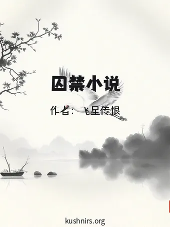 囚禁小说