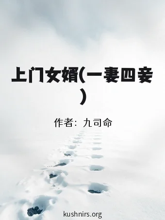 上门女婿(一妻四妾)