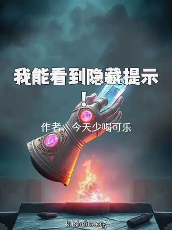 我能看到隐藏提示！