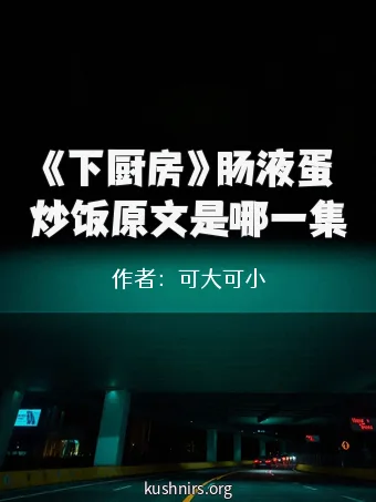 《下厨房》肠液蛋炒饭原文是哪一集