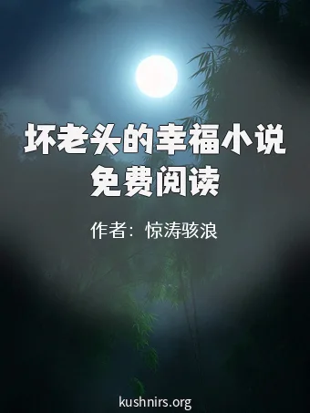 坏老头的幸福小说免费阅读