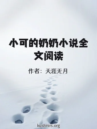 小可的奶奶小说全文阅读