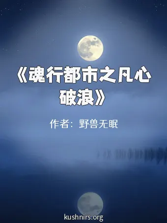 《魂行都市之凡心破浪》