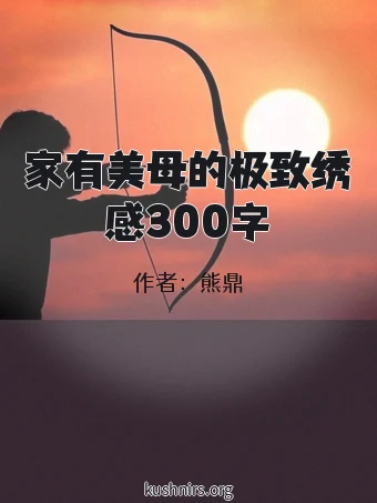 家有美母的极致绣感300字