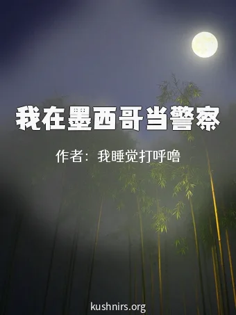 我在墨西哥当警察