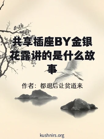共享插座BY金银花露讲的是什么故事