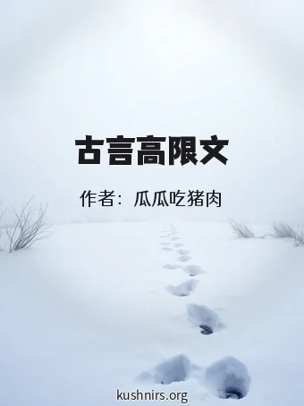 古言高限文