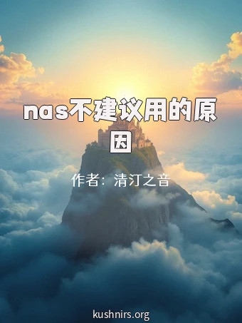 nas不建议用的原因