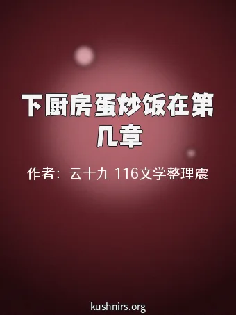 下厨房蛋炒饭在第几章