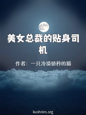 美女总裁的贴身司机