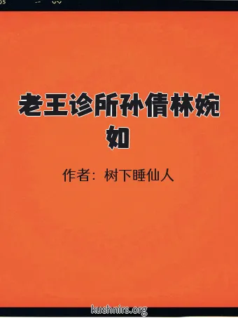 老王诊所孙倩林婉如