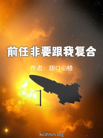 前任非要跟我复合
