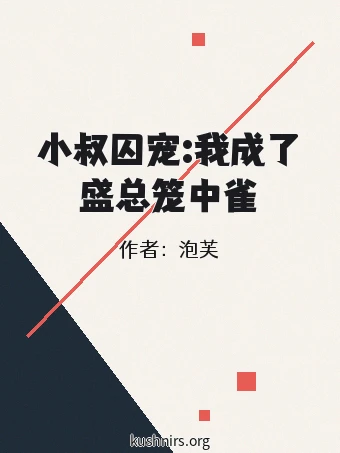 小叔囚宠:我成了盛总笼中雀