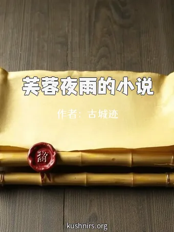 芙蓉夜雨的小说