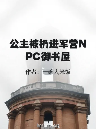公主被扔进军营NPC御书屋