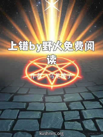 上错by野火免费阅读