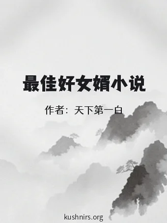 最佳好女婿小说